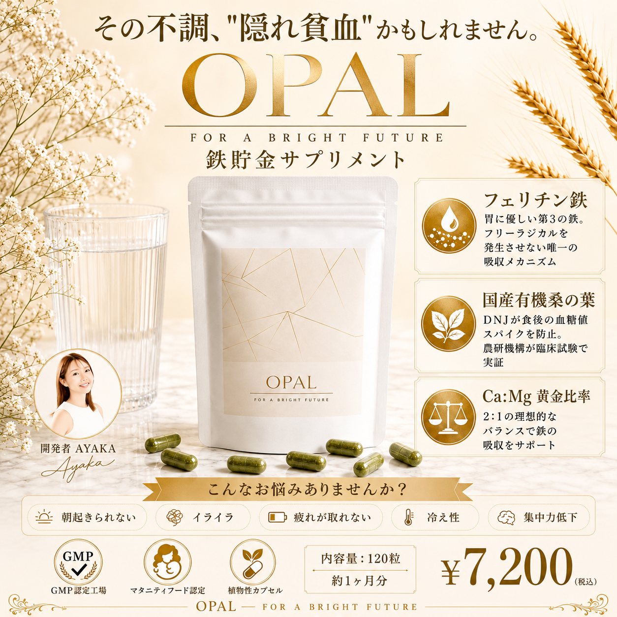 フェリチン鉄サプリ